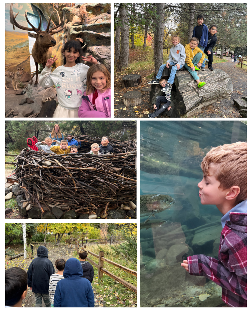 A collage of Frontier fourth graders discovering Idaho wildlife at the MK Nature Center. Students pose in front of a wildlife display featuring an elk and other animals, climb and play on a fallen log, and gather inside a large beaver lodge made of branches. Other photos show students observing deer along a wooded trail and a student coming face-to-face with a fish through an underwater viewing window.