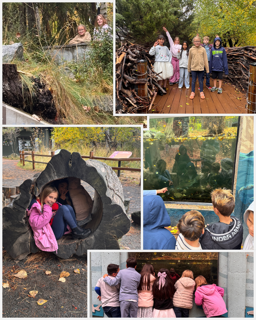 Frontier Elementary fourth graders enjoy exploring the MK Nature Center in Boise. Photos show students posing on a wooden bridge surrounded by branches, playing inside a large hollow log, observing fish through underwater viewing windows, and exploring the nature center's wooded trails. The collage captures students enjoying hands-on experiences while learning about Idaho's wildlife and natural habitats.