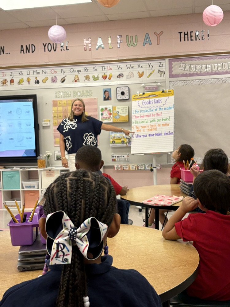 Geodes Reading lesson