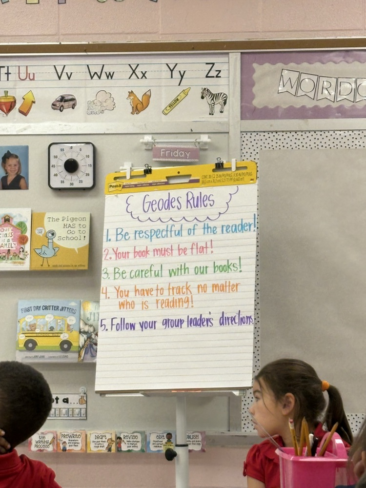 Geodes Partner Reading Rules