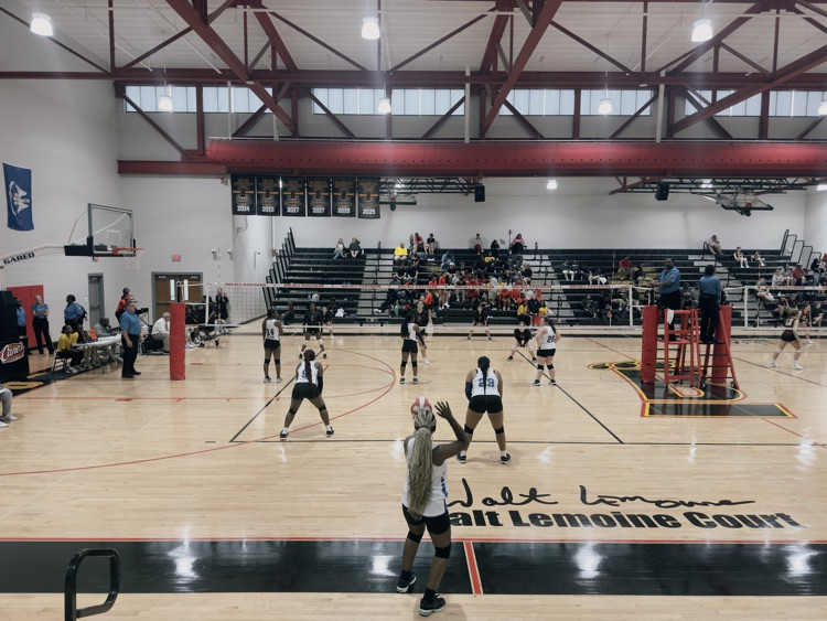 Pels Volleyball