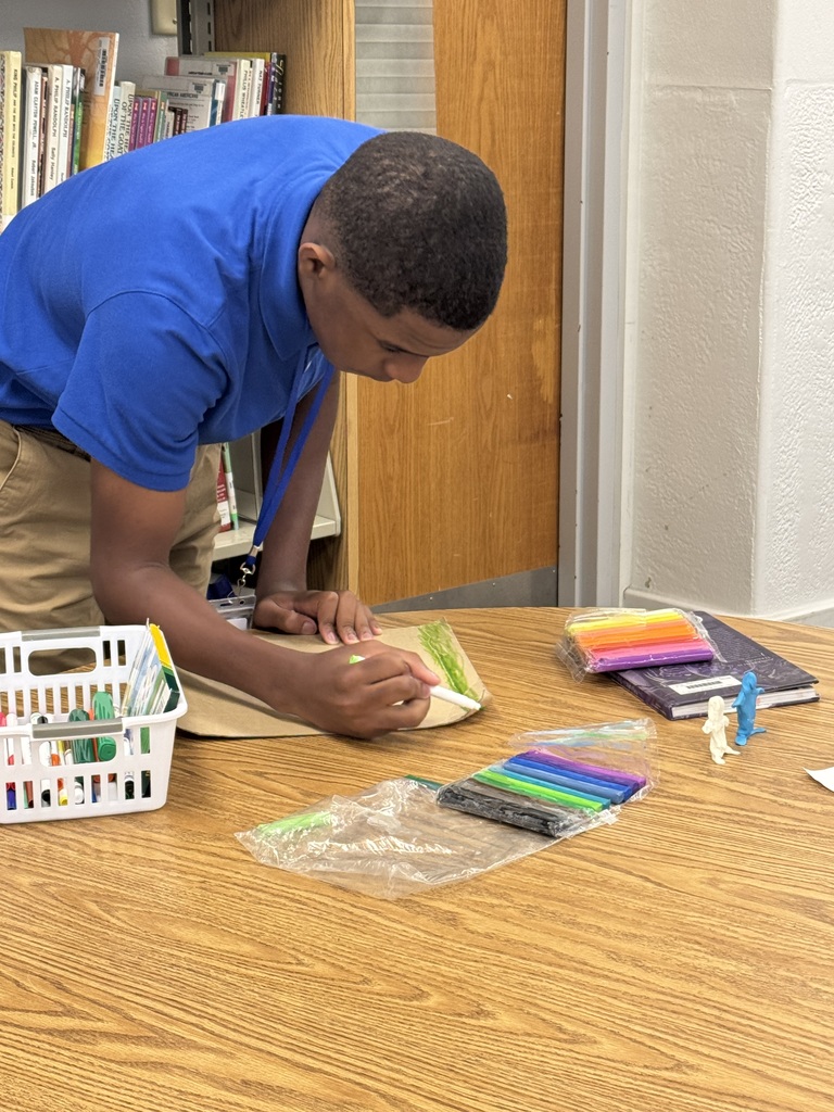 STEM class