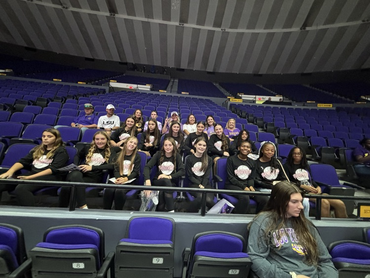 girls volleyball at LSU