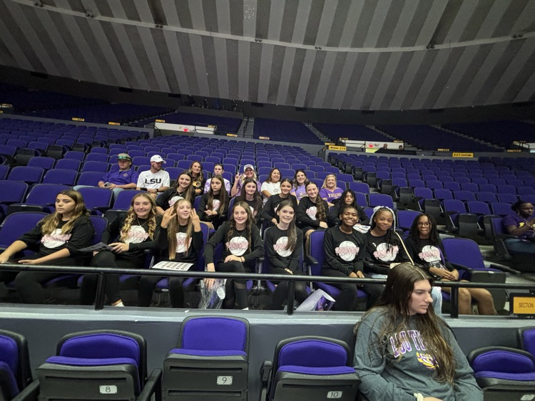 girls volleyball at LSU