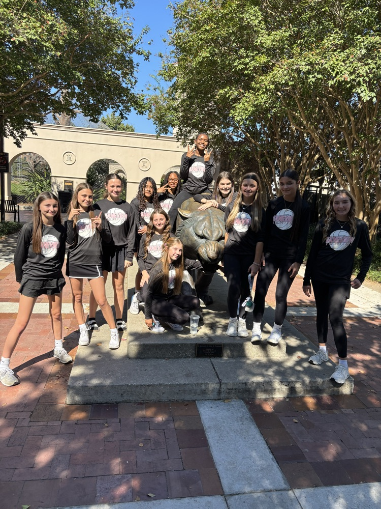 girls volleyball at LSU