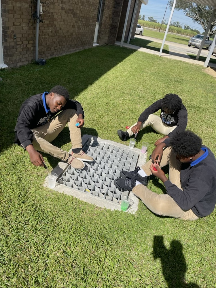 environmental science 