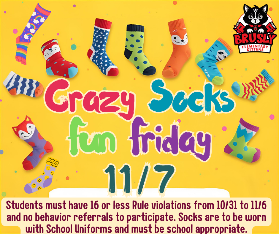 Crazy Sock Fun Friday 11/7