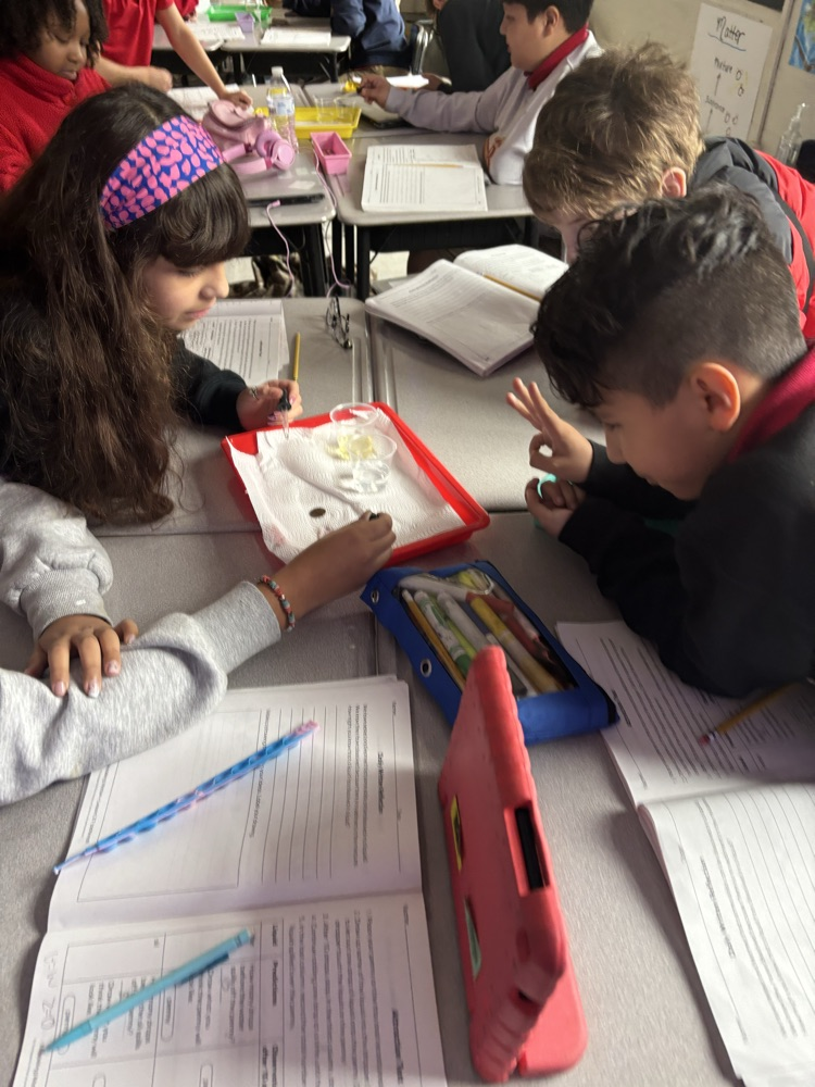 Ms. Holland’s class was learning about attraction of molecules. 