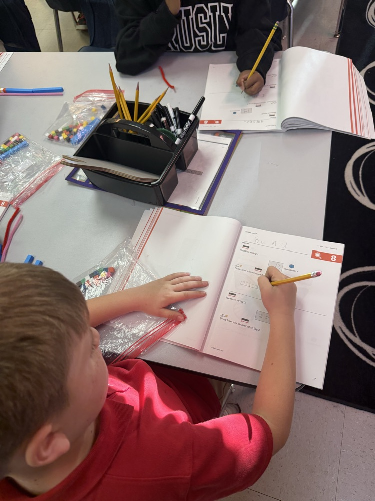We recorded our answers and had a discussion about what and how we measured using centimeter 10 sticks and cubes. 