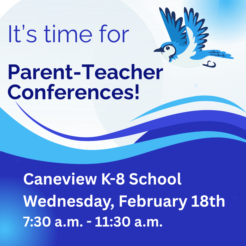 Parent teacher conferences