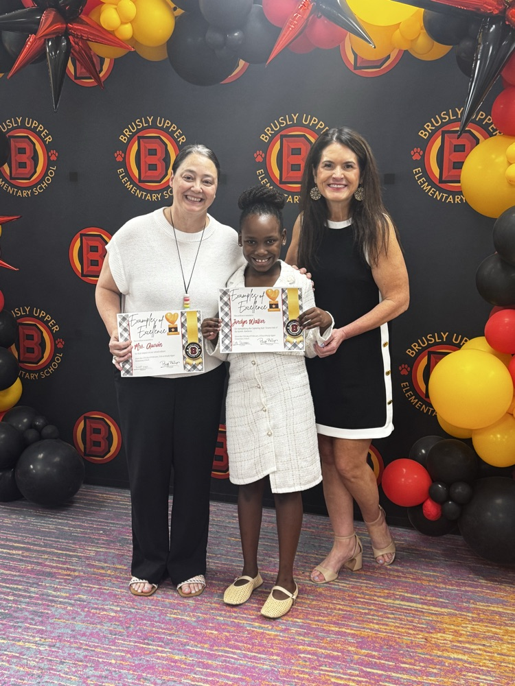 examples of excellence students