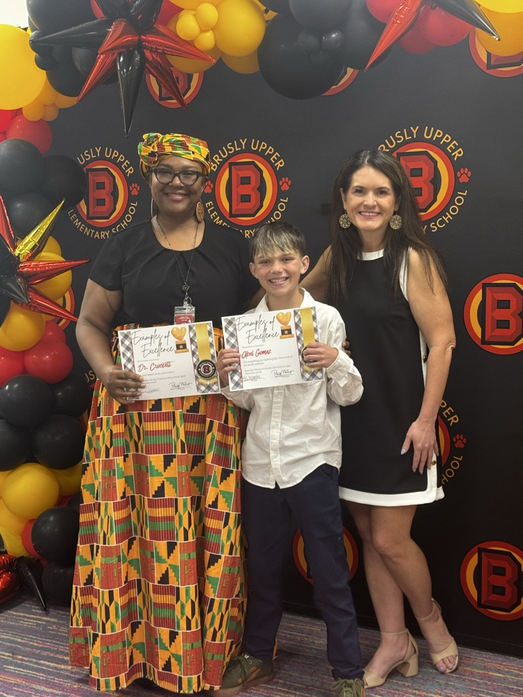 examples of excellence students