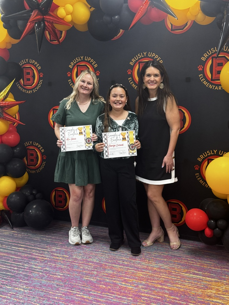 examples of excellence students