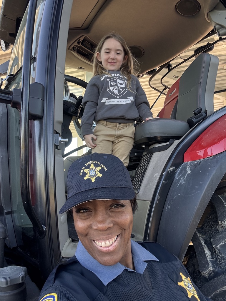 Transportation Day for Early Childhood