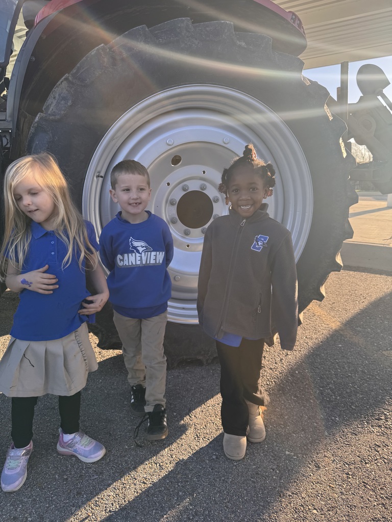 Transportation Day for Early Childhood