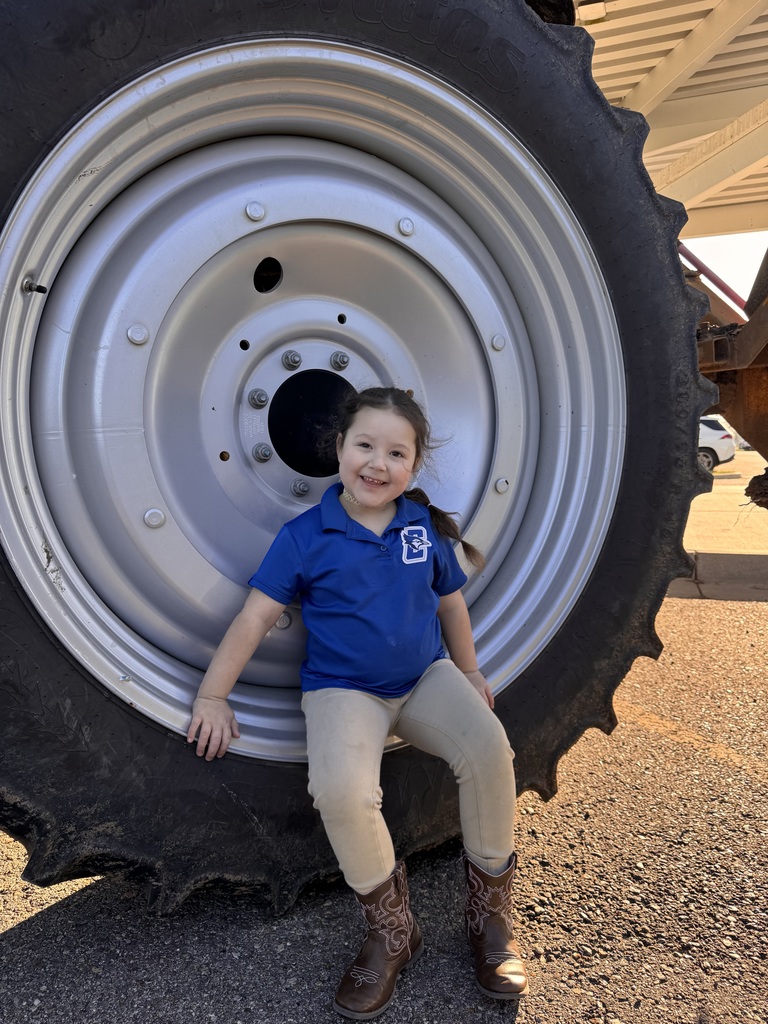 Transportation Day for Early Childhood