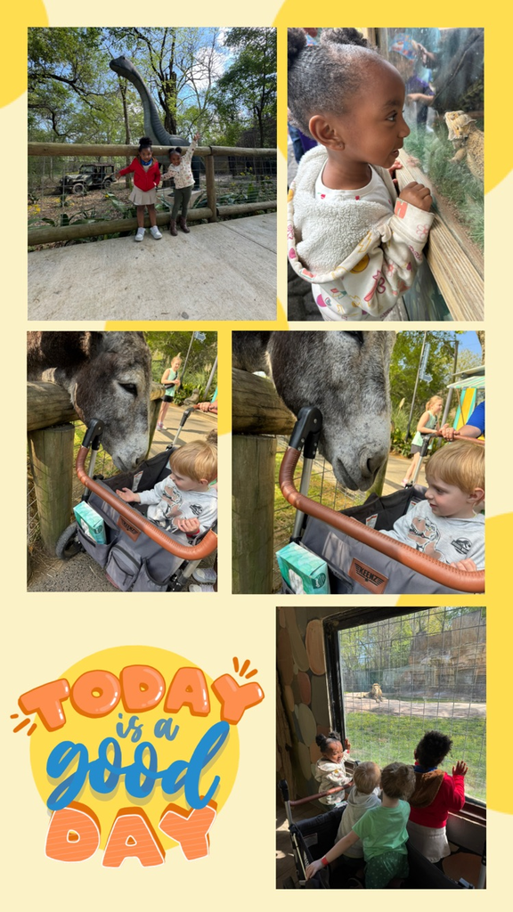 zoo