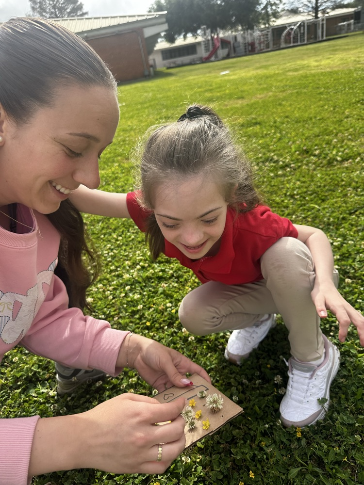 students picking flowers
