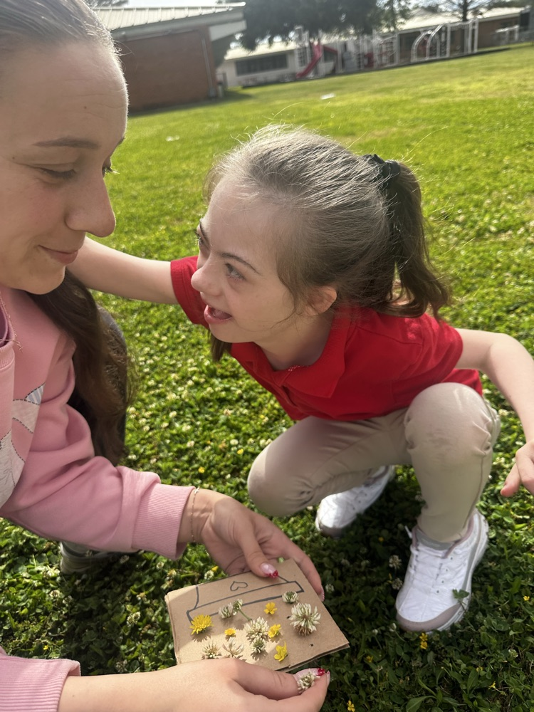 students picking flowers