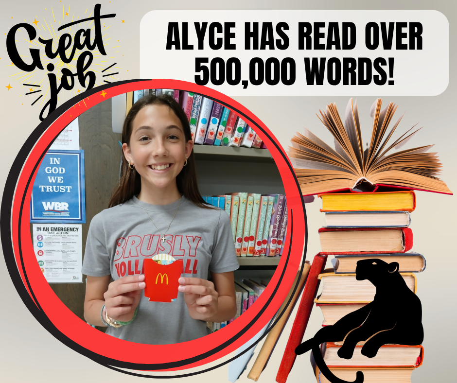 Alyce has read over 500,000 words!