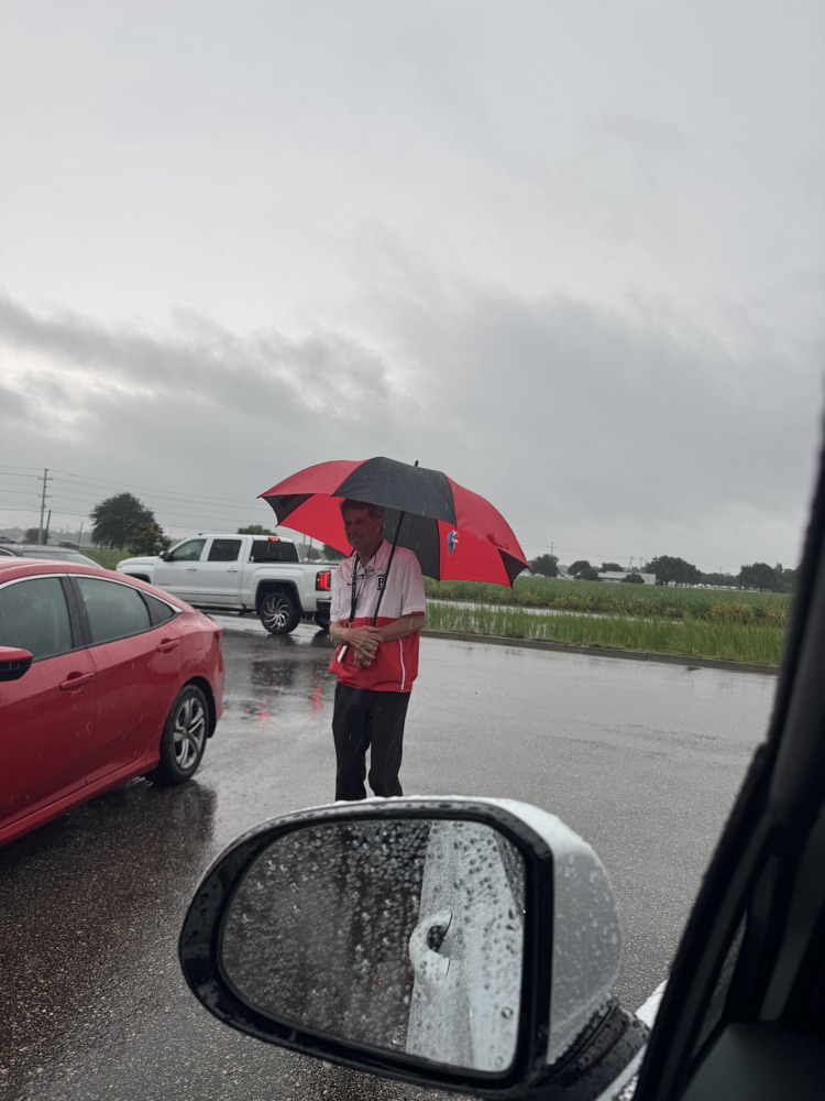 umbrella 