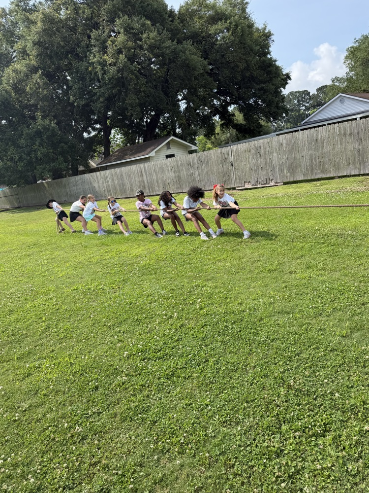 Fun and Field Day