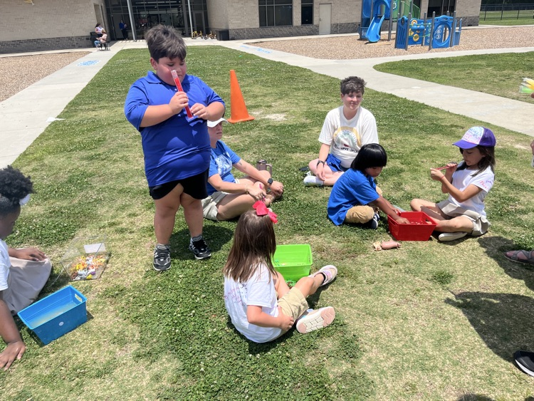 field day
