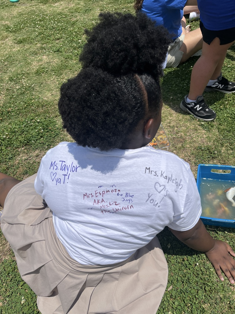 field day