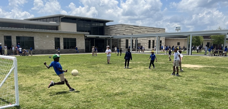 field day
