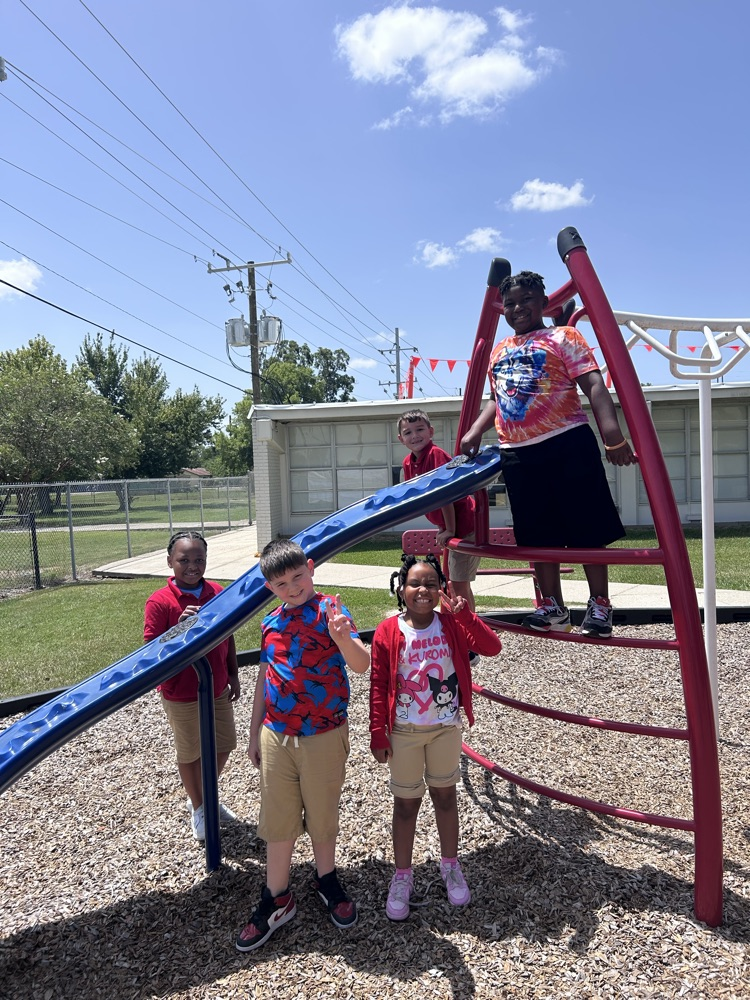 Five children on a playground with a blue slide, red ladder, and grassy area in the background.