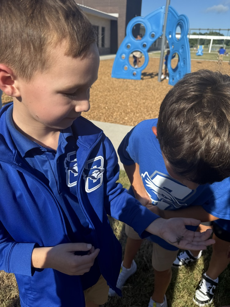 recess explores