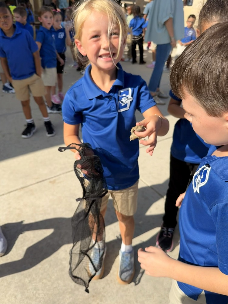 recess explores