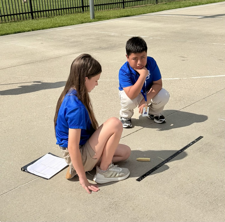 Investigating Shadows