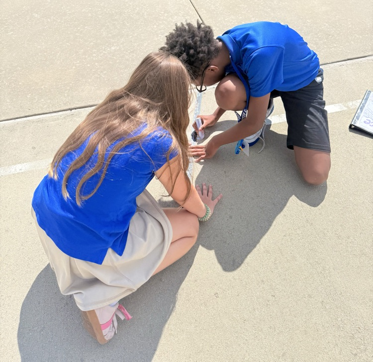 Investigating Shadows