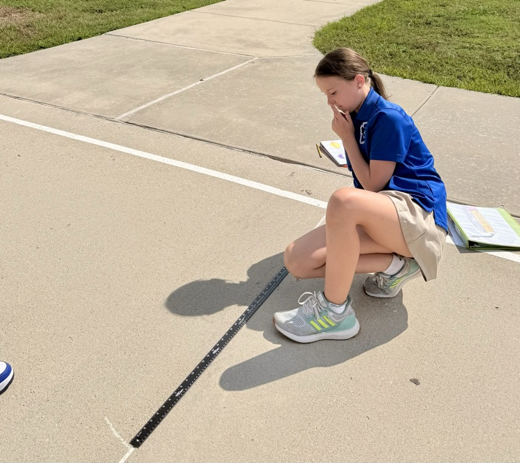 Investigating Shadows
