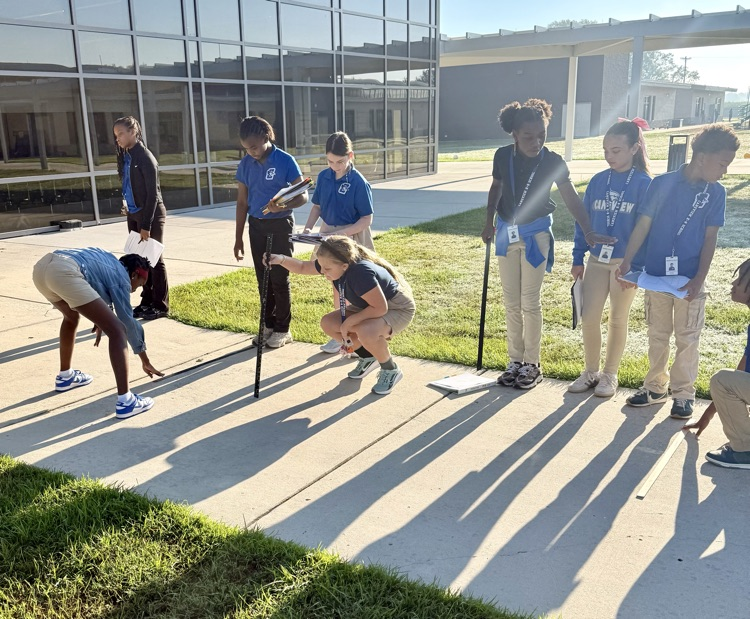 Investigating Shadows