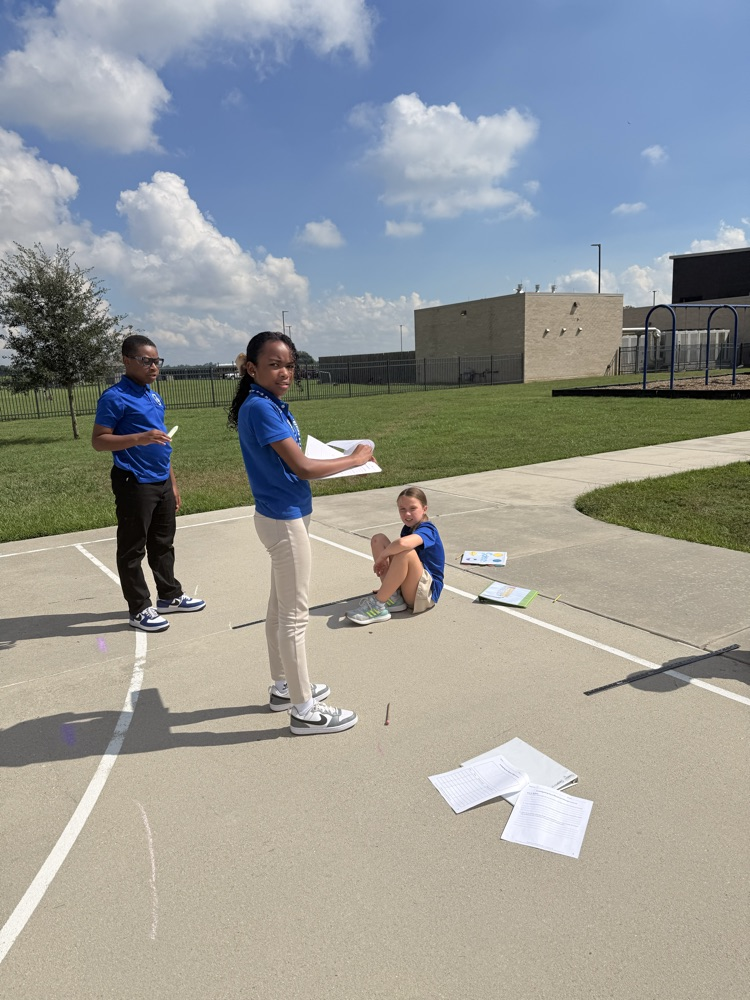 Investigating Shadows