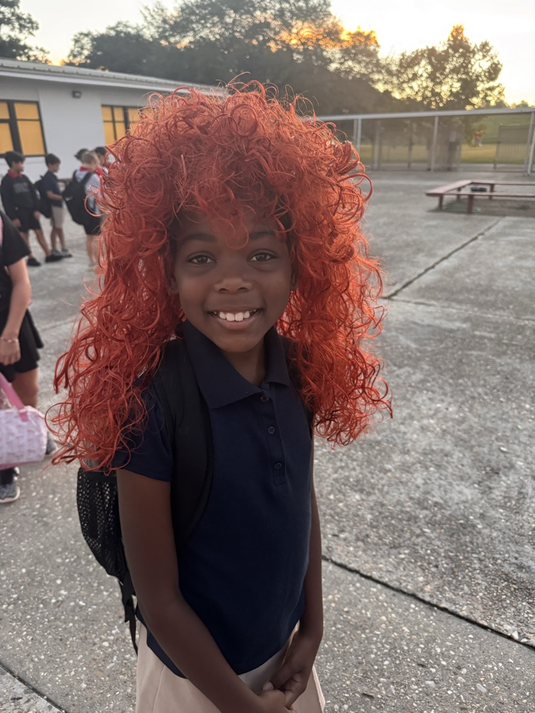 crazy hair day