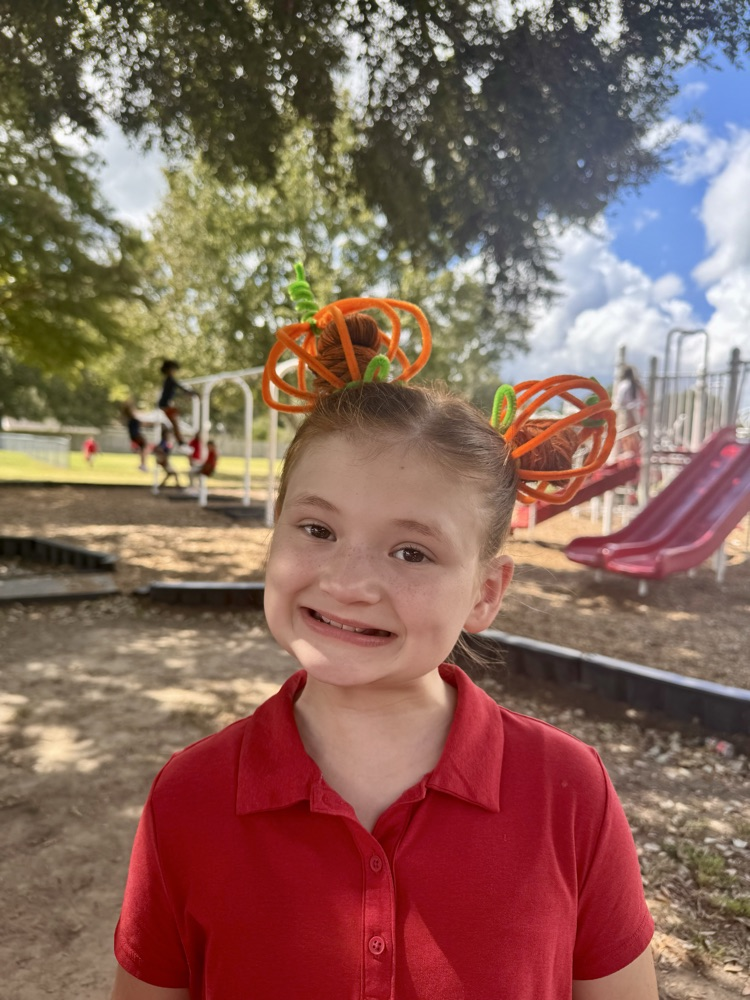 crazy hair day