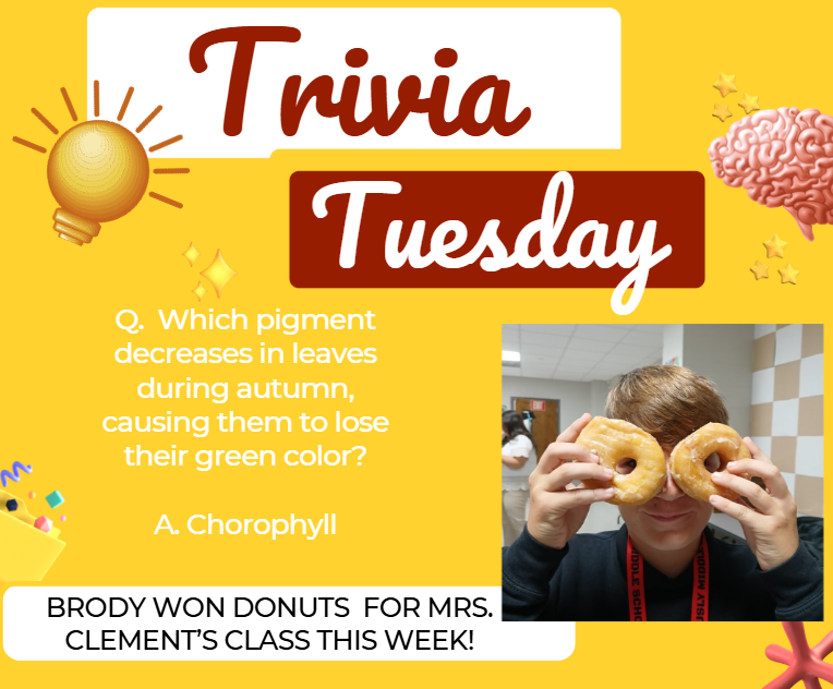 Trivia Tuesday