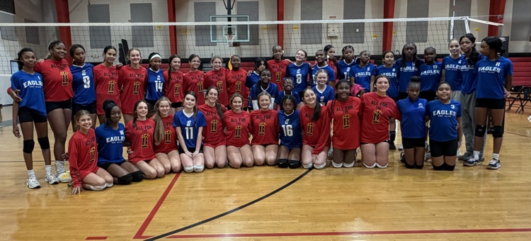 volleyball 