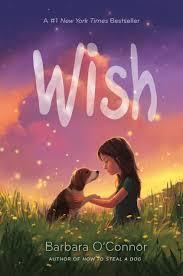 Wish book cover