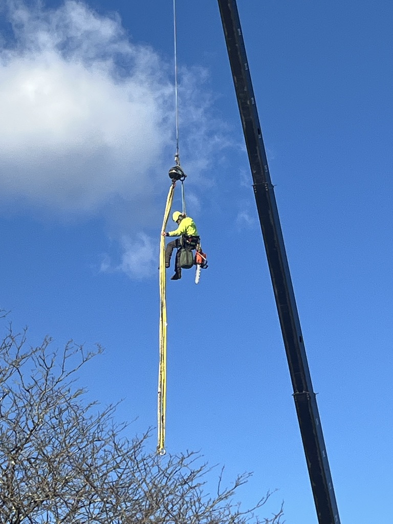 Spring Street School