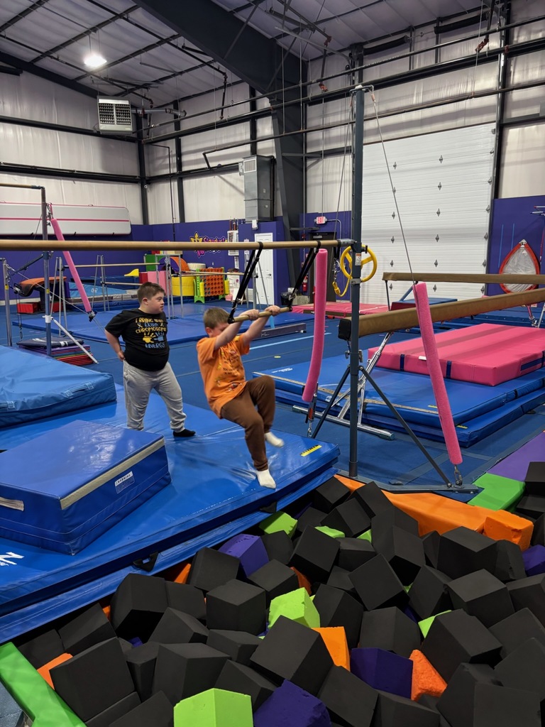 jungle gym