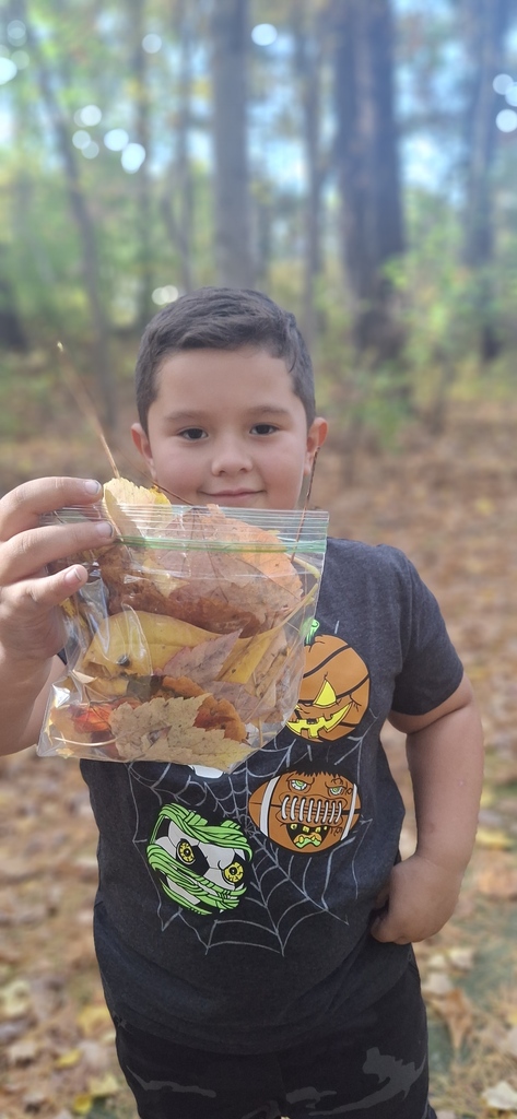 leaf bag