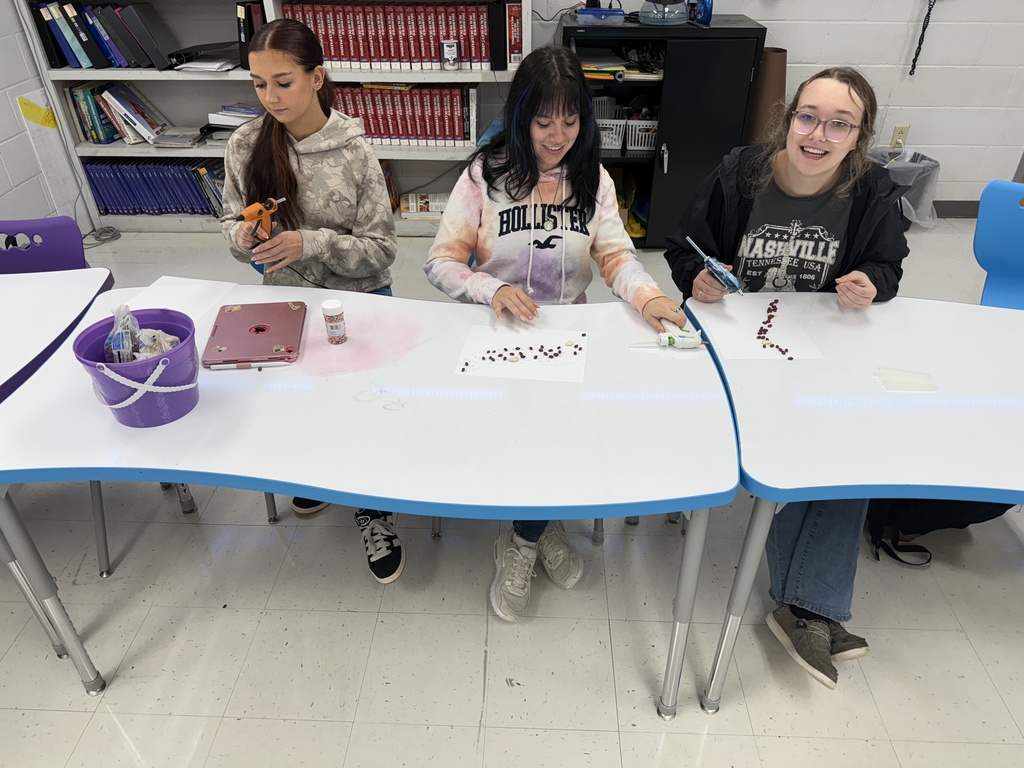 In Diagnostic Medicine students are learning about blood and its composition. Students took a break from notes and  used beans, rice, and sprinkles to model red blood cells, white blood cells, platelets and antibodies suspended in plasma (hot glue).  Pictured are students completing this hands on activity 