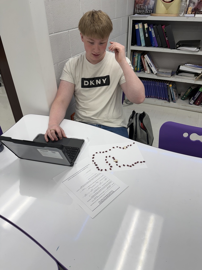 In Diagnostic Medicine students are learning about blood and its composition. Students took a break from notes and  used beans, rice, and sprinkles to model red blood cells, white blood cells, platelets and antibodies suspended in plasma (hot glue).  Pictured are students completing this hands on activity 