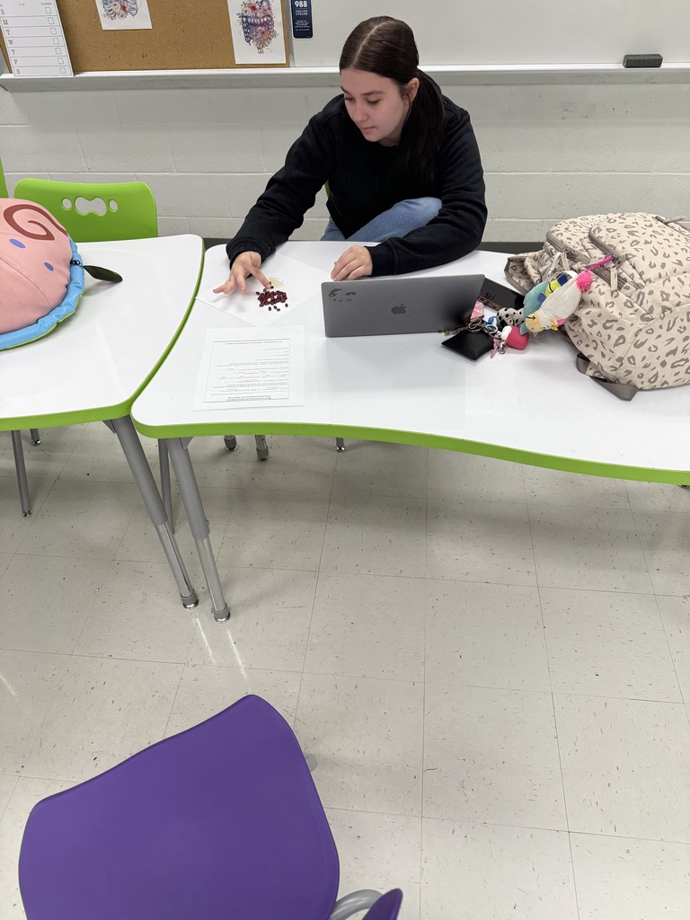 In Diagnostic Medicine students are learning about blood and its composition. Students took a break from notes and  used beans, rice, and sprinkles to model red blood cells, white blood cells, platelets and antibodies suspended in plasma (hot glue).  Pictured are students completing this hands on activity 