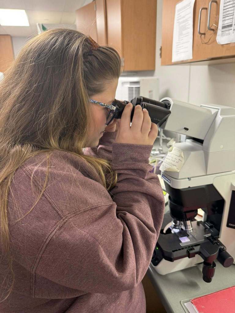 West Carroll Diagnostic Medicine students at Baptist Memorial Hospital looking at blood cells in a microscope 