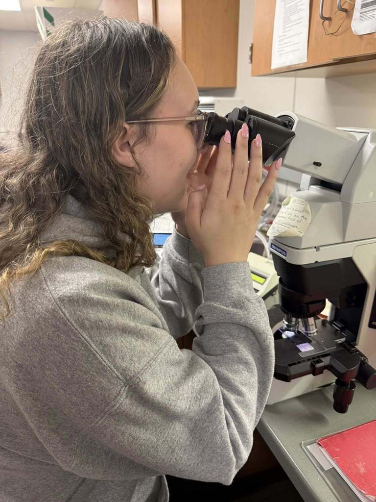 West Carroll Diagnostic Medicine students at Baptist Memorial Hospital looking at blood cells in a microscope 